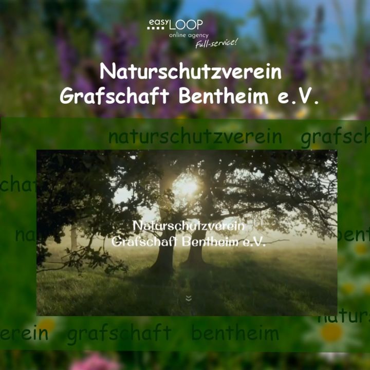 Projektpräsentation - 7