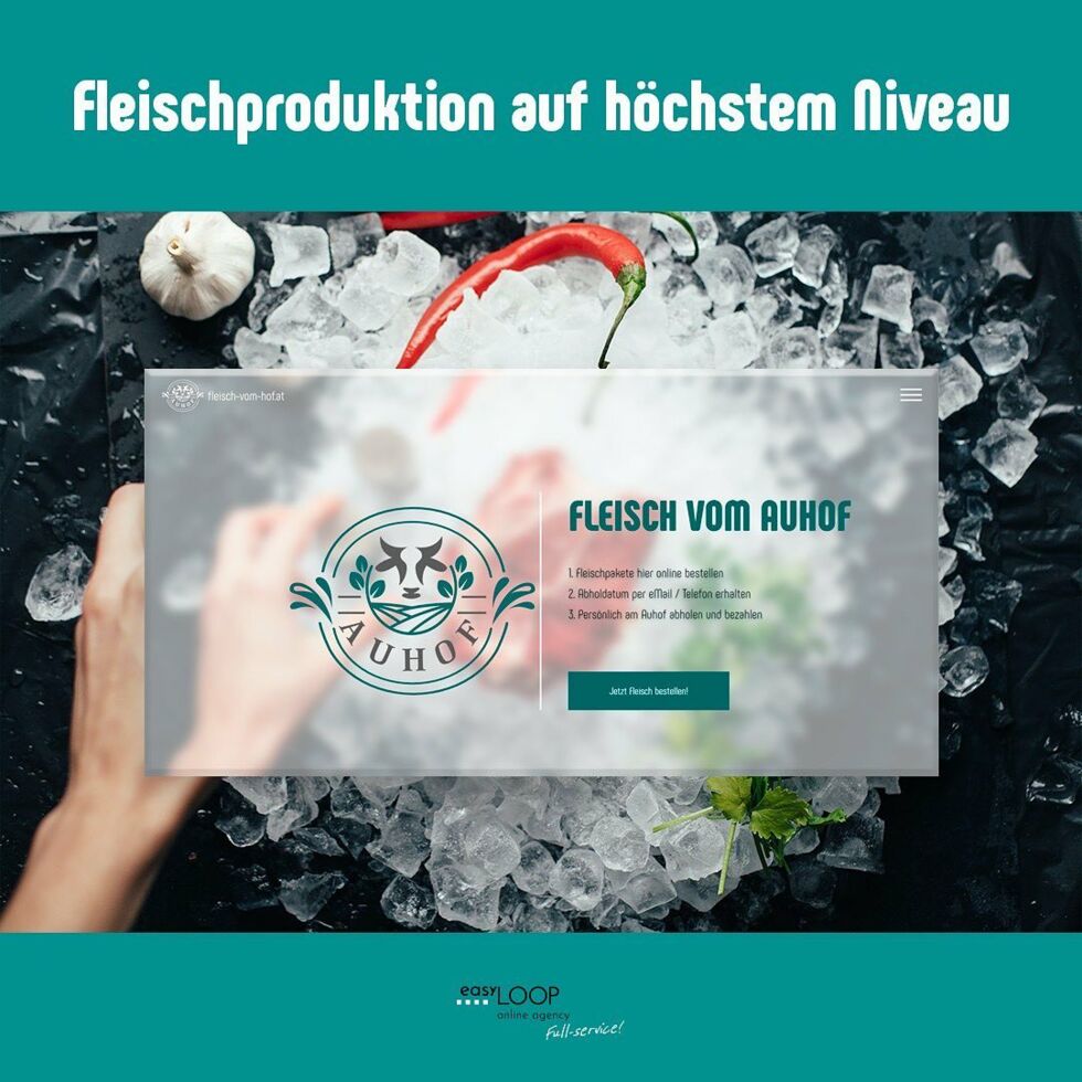 Projektpräsentation - 8